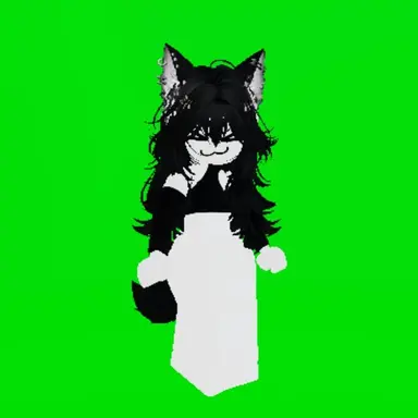 Profile image of Black cat