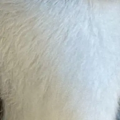 Profile image of こうり