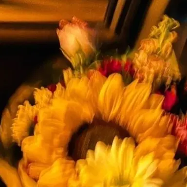 Profile image of 쪼만