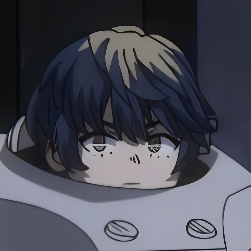 13호