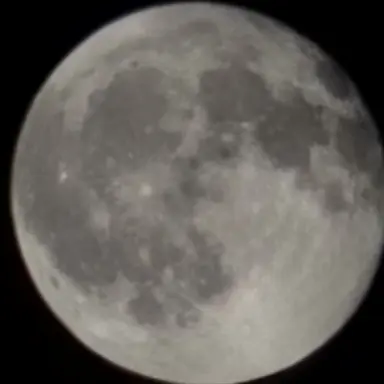 Profile image of 늑대인간