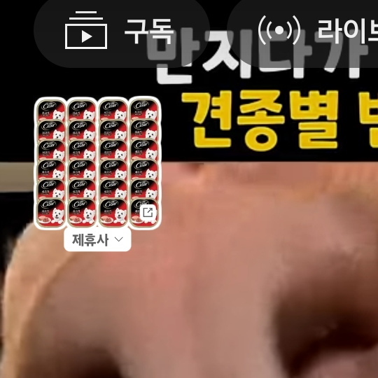 여우의 오줌 참기 대표 이미지