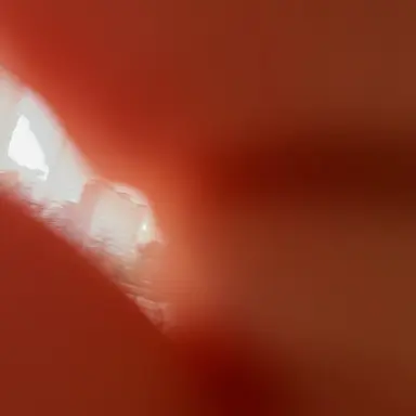 Profile image of 오서온