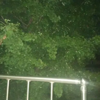 Profile image of 박셩호