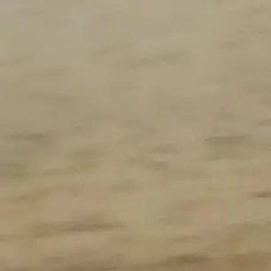 Profile image of 느대윤