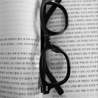 Profile image of 채스터