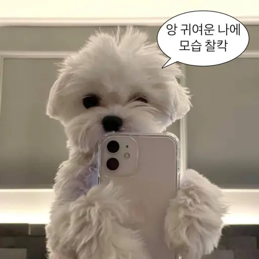 FieryLemur7283의 화나는거 있음 화풀이ㄱㄱ