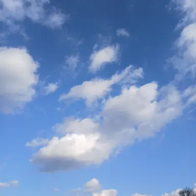 Profile image of 잠뜰