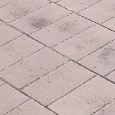 Profile image of 부총리