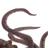 ヒトノミミズ