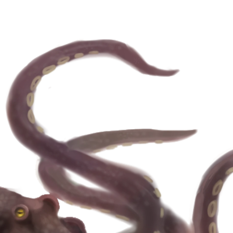 ヒトノミミズ