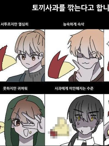 미수반 [토끼사과] 대표 이미지