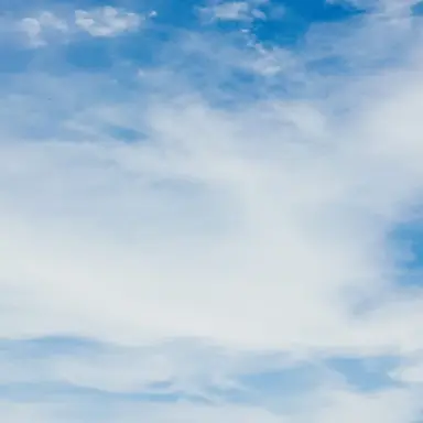 Profile image of シグモ