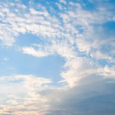 Profile image of ツバメ