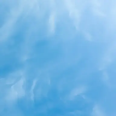 Profile image of ネリネ