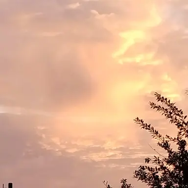 Profile image of 모양몬