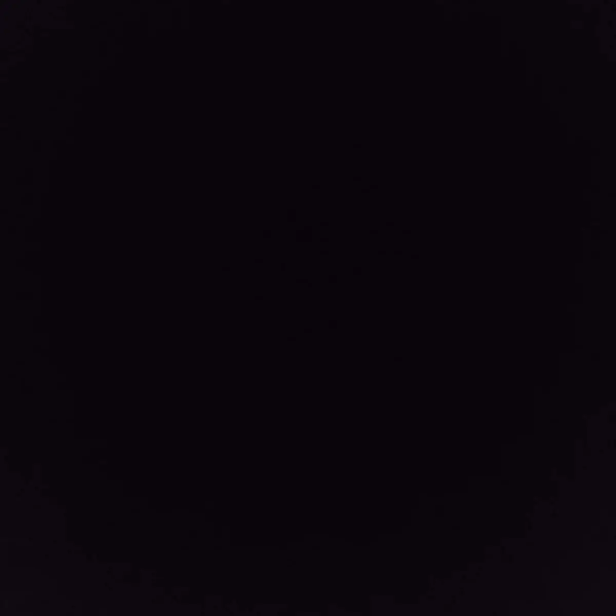 CloudyVase5679의 主用
