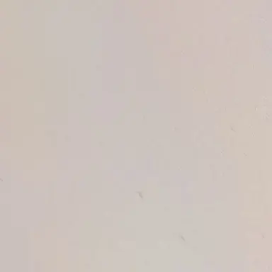 Profile image of 모찌엘