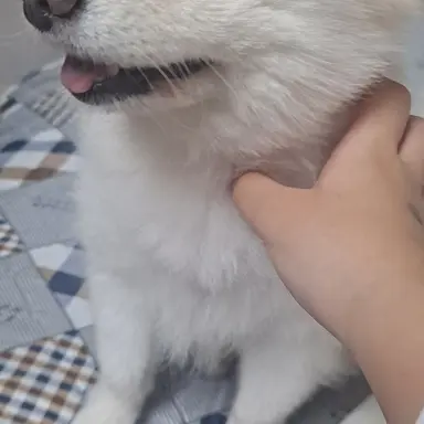 Profile image of ....