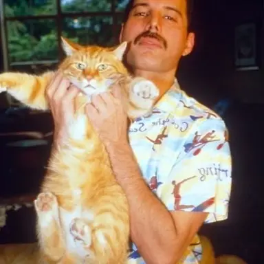 Profile image of Freddie