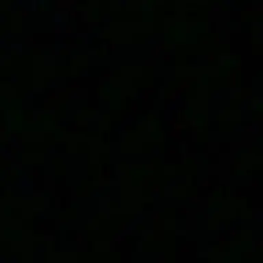 Profile image of ニキ