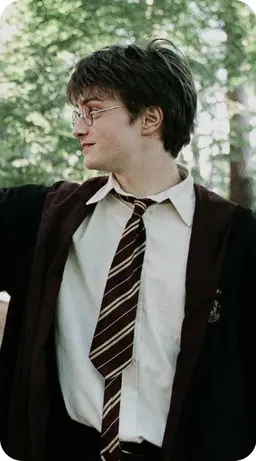 Profile image of Harry Potter