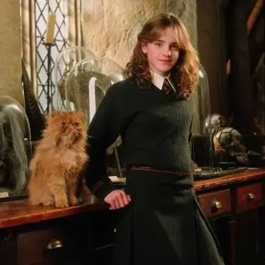 Profile image of Hermione Granger