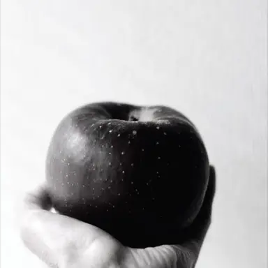 Profile image of 大森 元貴