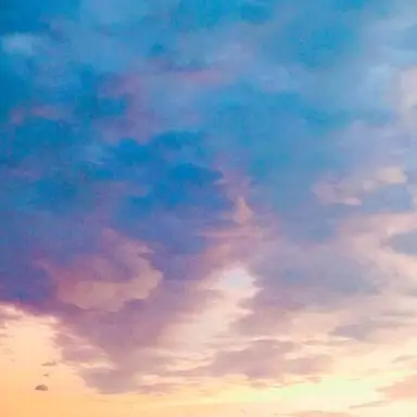 Profile image of 연이