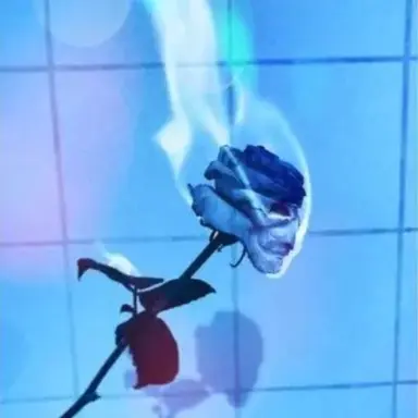 Profile image of 파이브