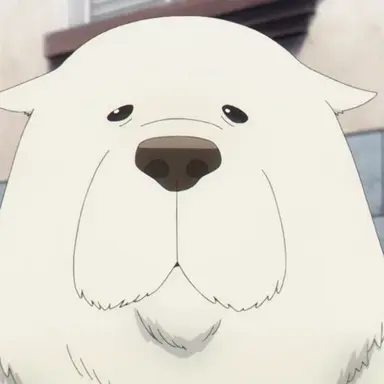 Profile image of 본드