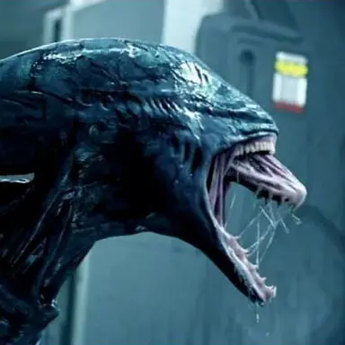 Profile image of 디컨