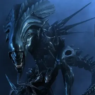 Profile image of 퀸