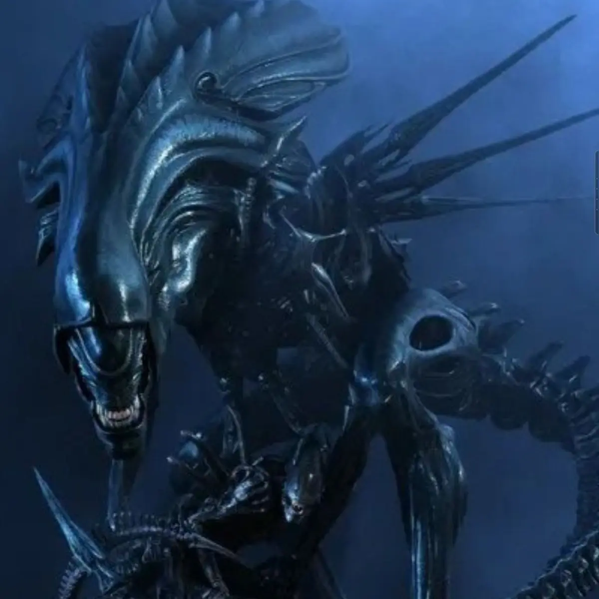 FuzzyNewt0682의 에일리언 가족 (현실)