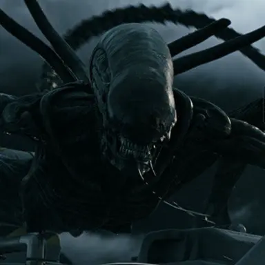 Profile image of 프로토모프