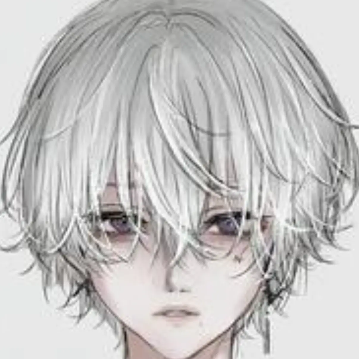 HuskyFish3701의 그 정의, 정부 소속 ──단, 비공식.