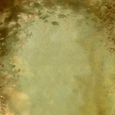 Profile image of 009