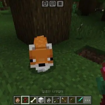 Profile image of 여우