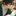 日向