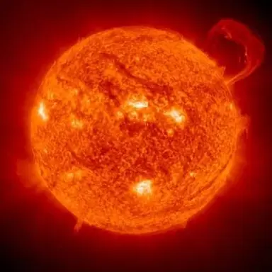Profile image of 太陽