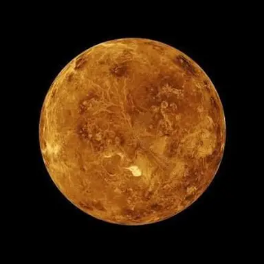 Profile image of 金星