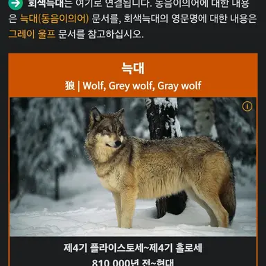 Profile image of 늑대