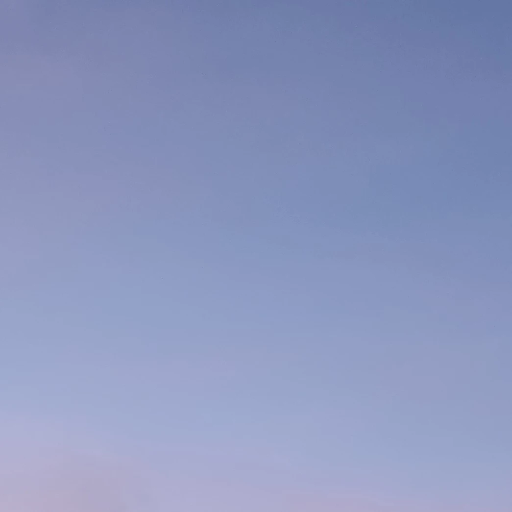 잭