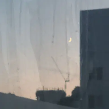 Profile image of 조이든