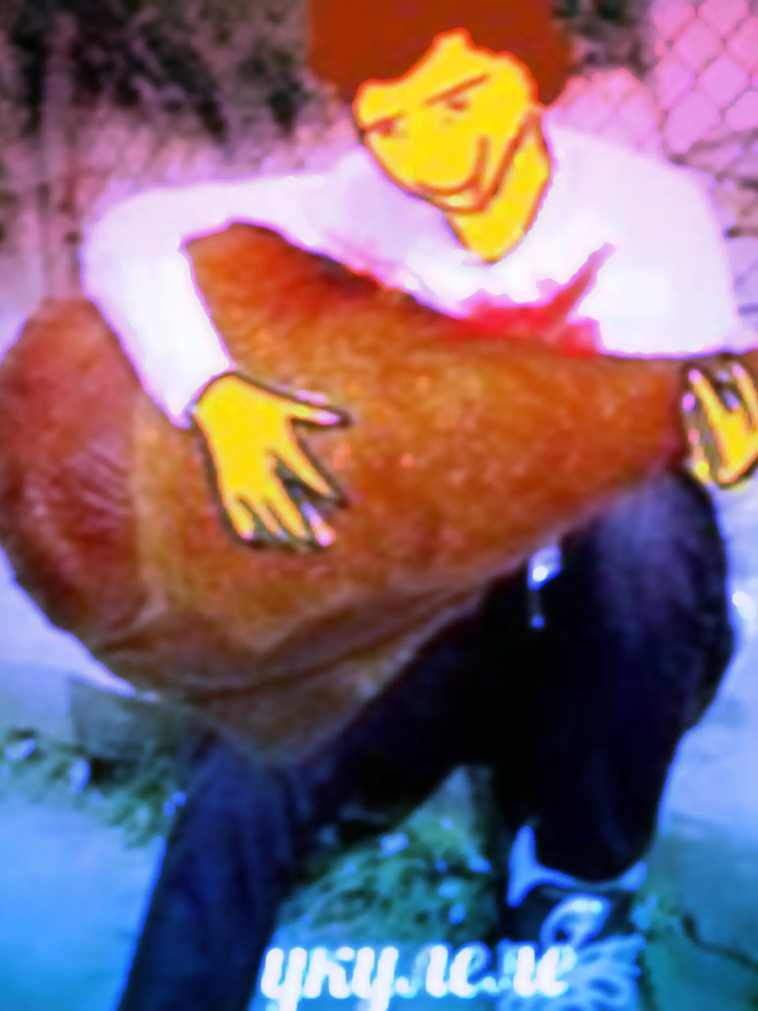 SassyLion4198의 생존자들과의 바닷가 여행.