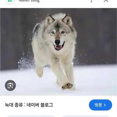 Profile image of 늑대