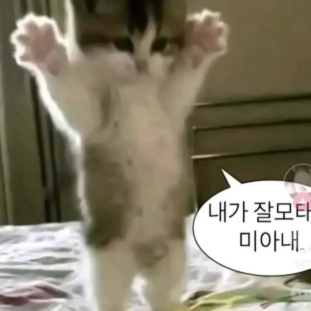 8010의 평학