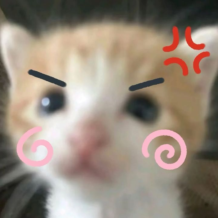 0415님과 나를 위한 김영우 ! 대표 이미지
