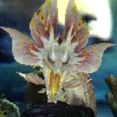 Profile image of 타마미츠네