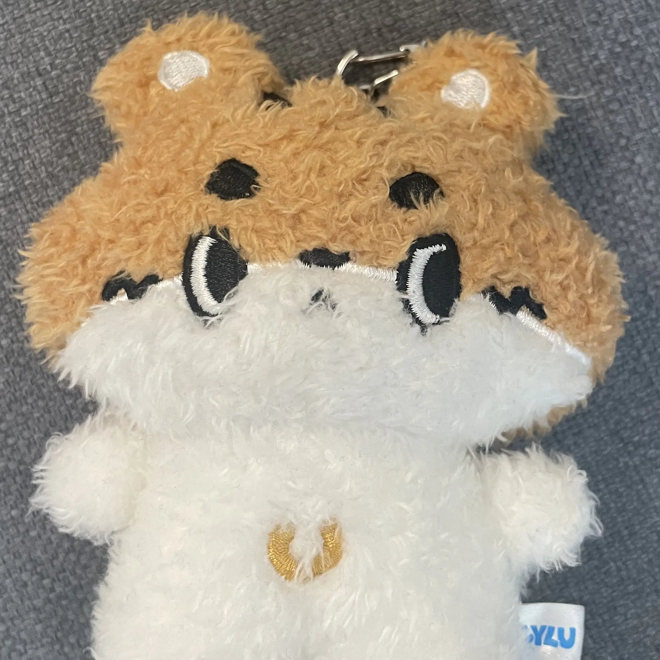 Donan의 다람쥐